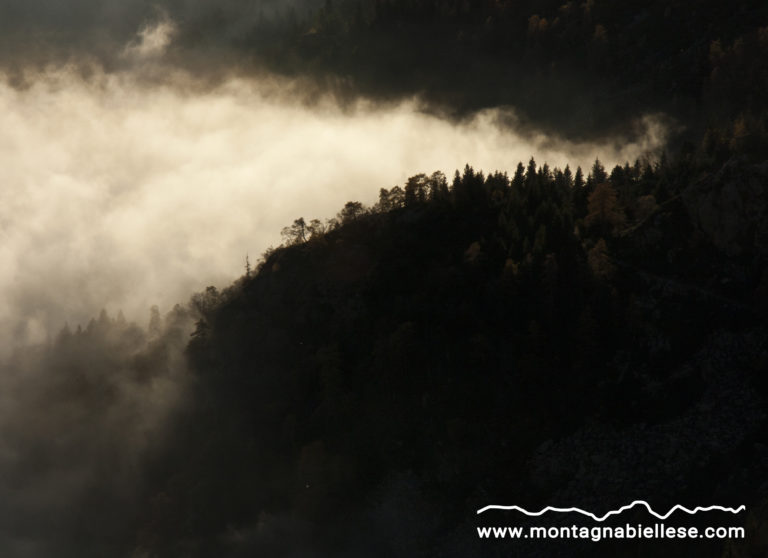 Alberi e nubi nella Valle Oropa