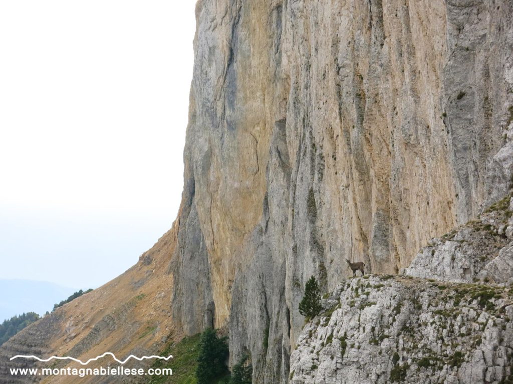 mont aiguille03